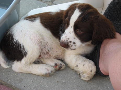 gallery/100-0002_img